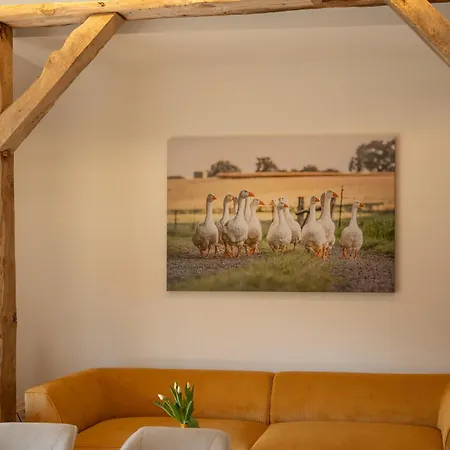 Reethus 22 Loft 4 * تيميندورفير ستراند